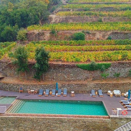 Quinta De Travassinhos- Douro Valley & Spa Santa Marta de Penaguião Dış mekan fotoğraf