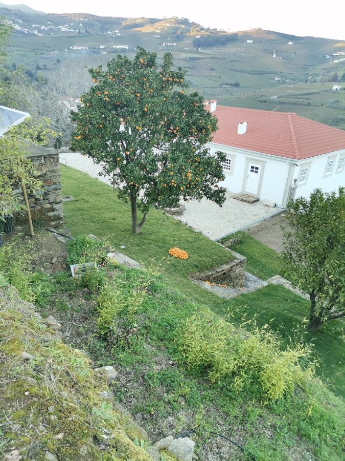 Quinta De Travassinhos- Douro Valley & Spa Santa Marta de Penaguião Dış mekan fotoğraf