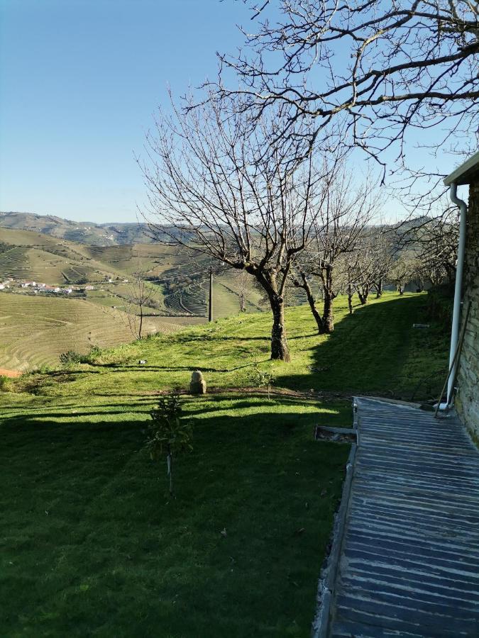 Quinta De Travassinhos- Douro Valley & Spa Santa Marta de Penaguião Dış mekan fotoğraf