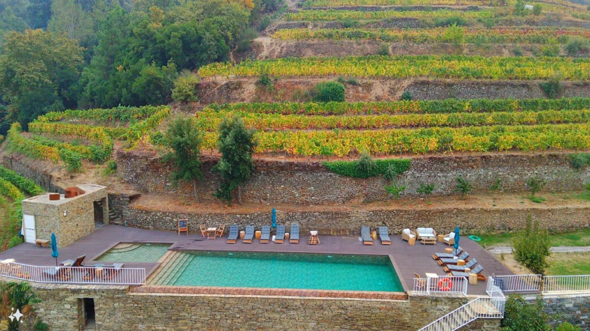 Quinta De Travassinhos- Douro Valley & Spa Santa Marta de Penaguião Dış mekan fotoğraf