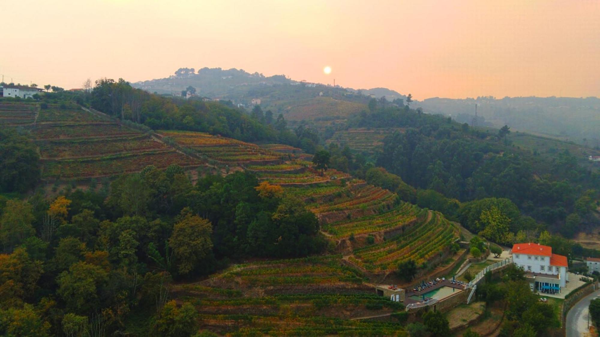 Quinta De Travassinhos- Douro Valley & Spa Santa Marta de Penaguião Dış mekan fotoğraf